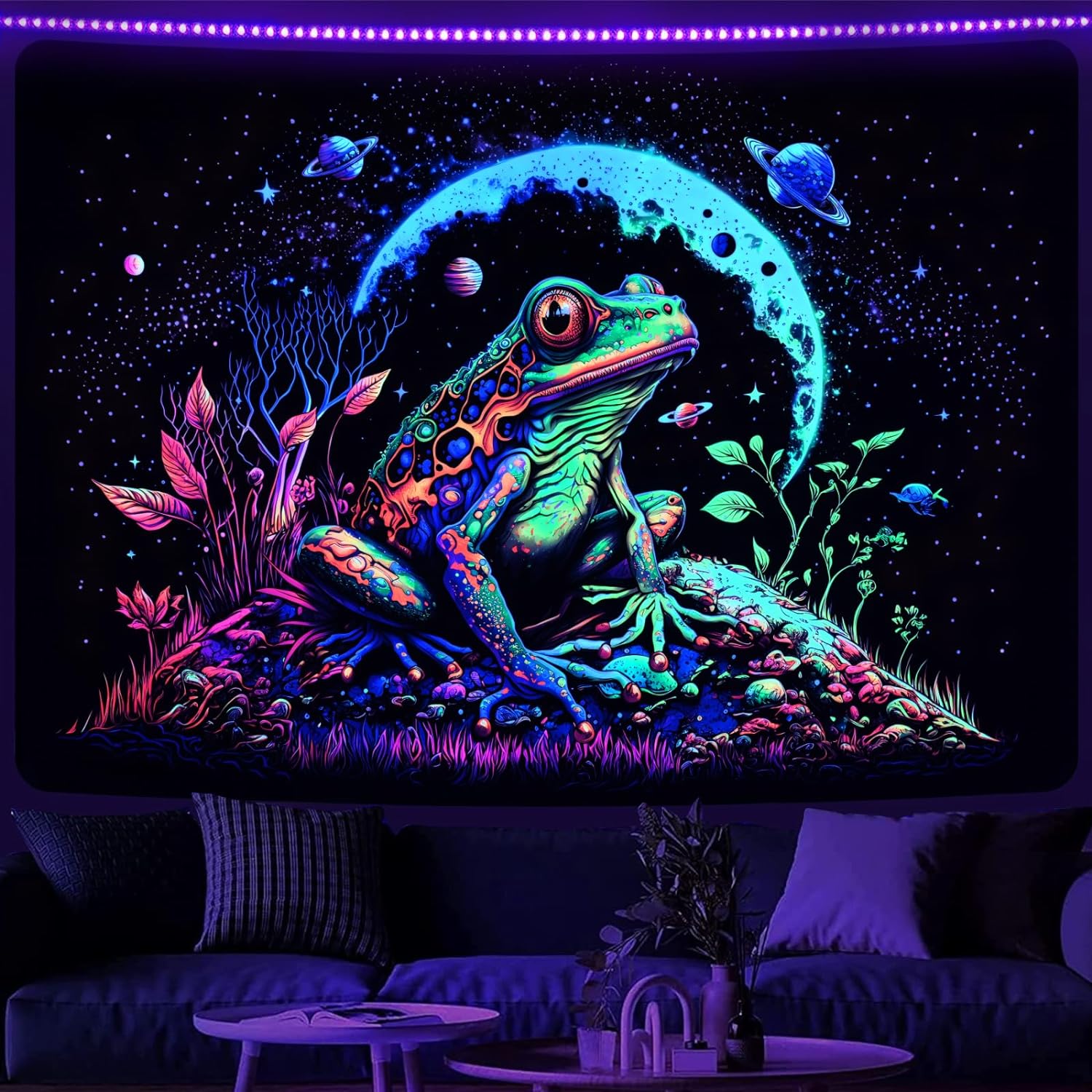 Vesmírná žába | Oficiální GlowTapestry UV Art Decor 