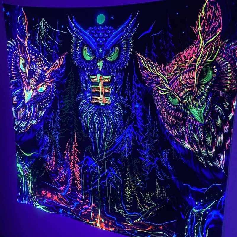 Owl Lands - GlowCreations